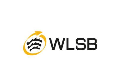 Digitale Kurzschulung des WLSB: Sportvereine in der Corona-Pandemie
