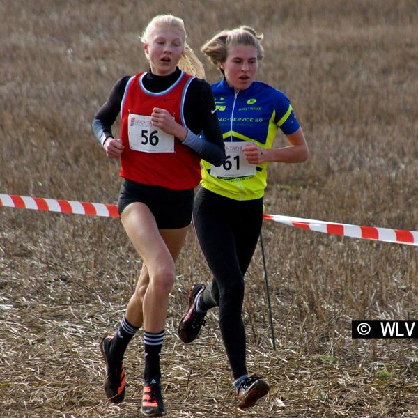 Baden-Württembergische Crosslauf-Meisterschaften am 15. Februar 2020 in Weinstadt