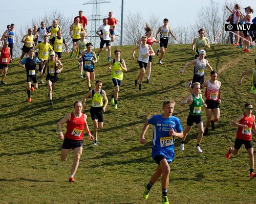 BW Waldlauf: Meldeschluss bis Sonntag, 16. Oktober 2022 verlängert